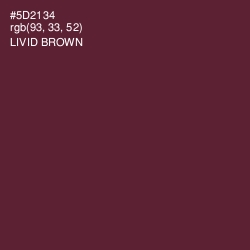 #5D2134 - Livid Brown Color Image